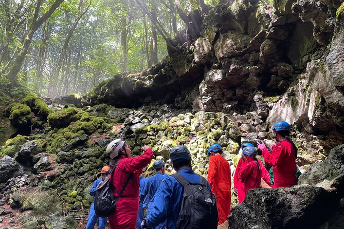 Hiking and Caving in Aokigahara Forest at the Foot of Mt. Fuji - Authentic Insights from Past Participants