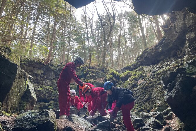 Hiking and Caving in Aokigahara Forest at the Foot of Mt. Fuji - Why This Tour Is Worth Considering