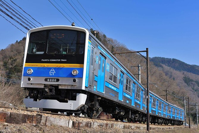 Mount Fuji Passes (optional) - What Reviewers Say