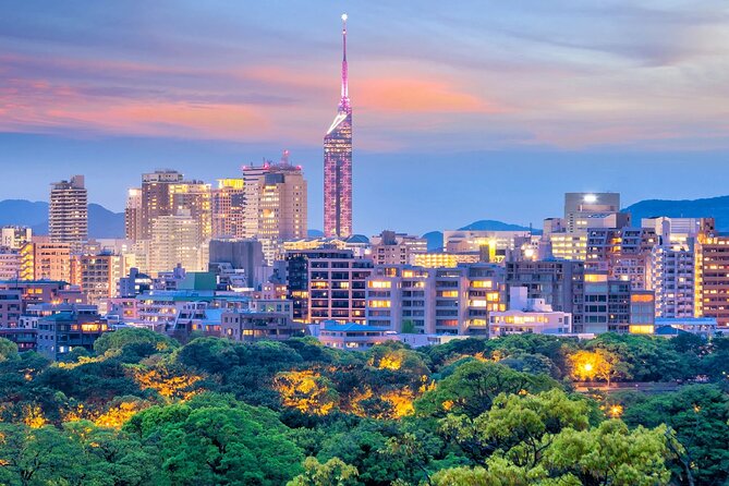 Osaka Kansai Airport to Fukuoka City Private Transfer - Analyzing the Value and Practicality