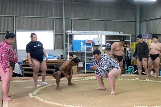 Authentic Sumo Stable Morning Training Experience Osaka - Key Points
