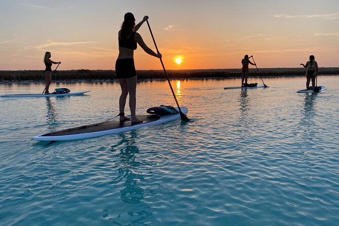 Private Paddleboard Experience in Bacalar - The Equipment, Guide, and Photos
