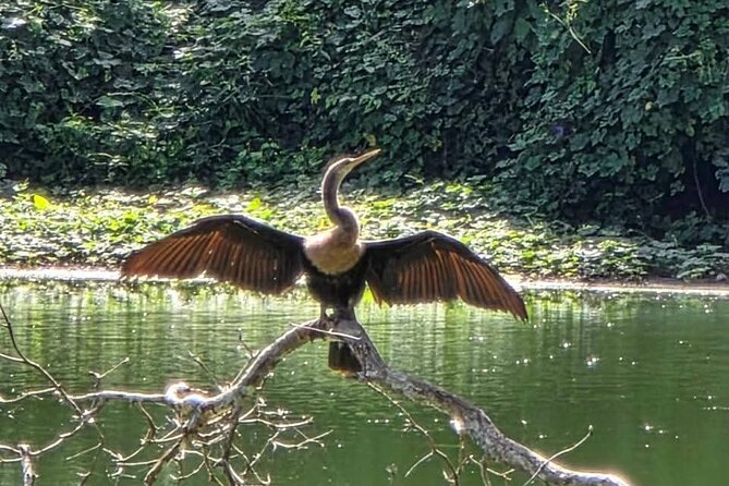 Bacalar Ichkabal Ruins and Boat Tour on the 7 Colors Lagoon - Key Points
