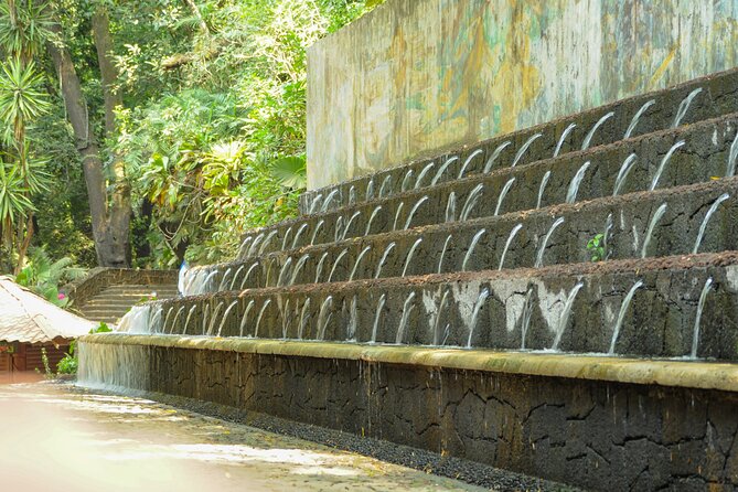 Uruapan Tour - A Closer Look at the Uruapan Tour