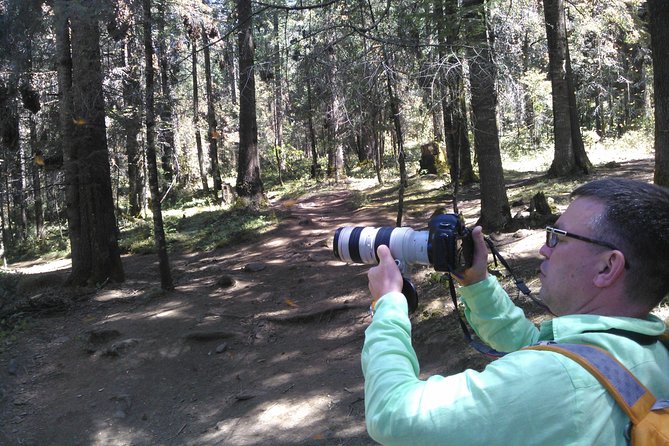 Monarch Butterfly group tour. Join me to watch #butterflies - Practical Tips for Visitors