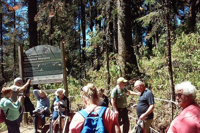 Monarch Butterfly group tour. Join me to watch #butterflies - The Sum Up: Who Will Love This Tour?