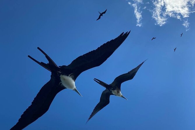 Eco Safari through the Ria Lagartos Natural Park - Exploring Rio Lagartos’s Natural Beauty with a Certified Guide