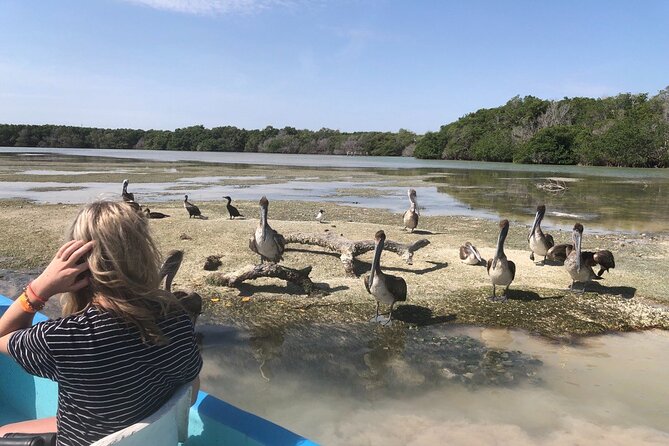 Eco Safari through the Ria Lagartos Natural Park - Observation Platform and Seasonally Unique Views