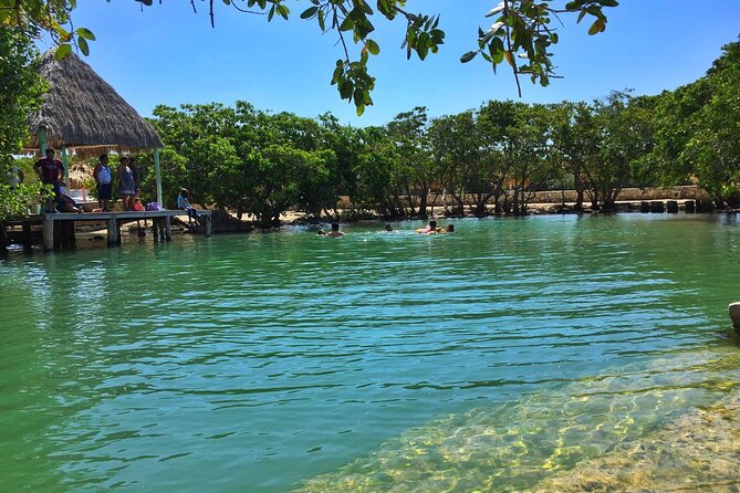 Rio Lizards and Las Coloradas Ecosafari Maya Natural Experience - Good To Know