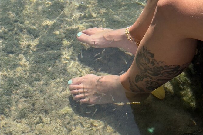 Rio Lizards and Las Coloradas Ecosafari Maya Natural Experience - FAQ