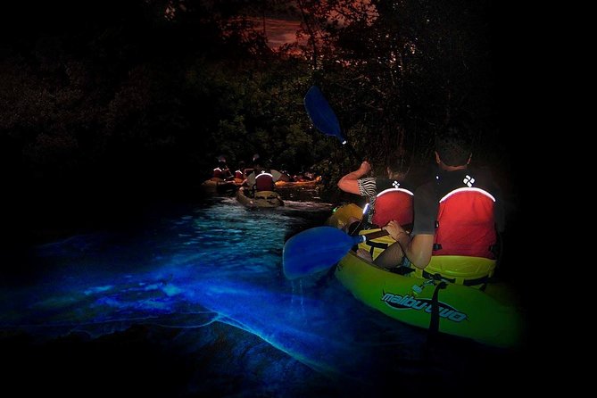 Two-in-One Day Trip: El Yunque and Bio Bay Tour with Transport - The Experience in Detail