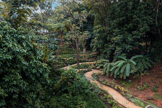 El Yunque Rainforest EZ-going Bus Tour (wheelchair accessible) - Final Thoughts