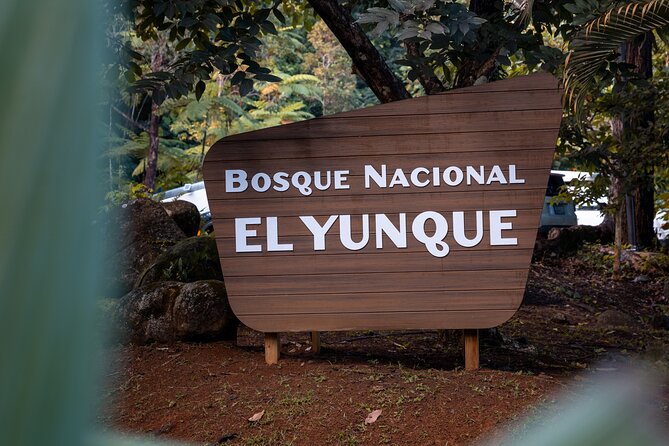 El Yunque Rainforest EZ-going Bus Tour (wheelchair accessible) - Good To Know
