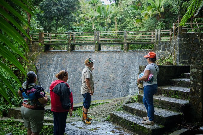 El Yunque Educational Rainforest Walk Easy and Family Friendly - FAQ