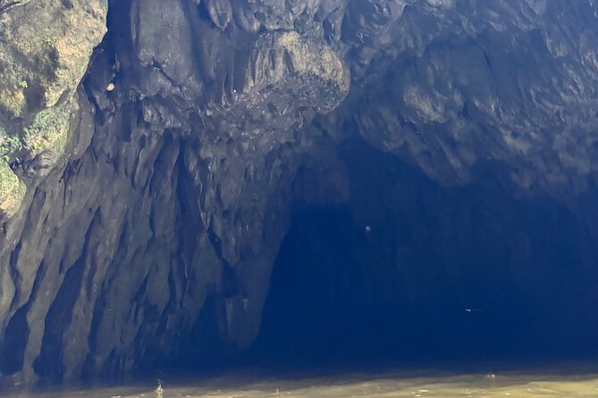 River Cave Swimming with TRANSPORTATION - Exploring the Puerto Rican Wilderness: An In-Depth Review