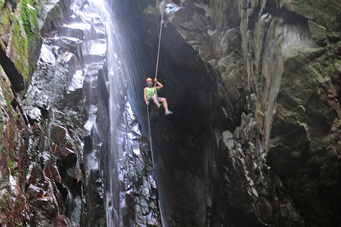 Full-Day Zipline and Waterfall Rappelling Adventure Near San Juan - What Makes this Tour Stand Out?