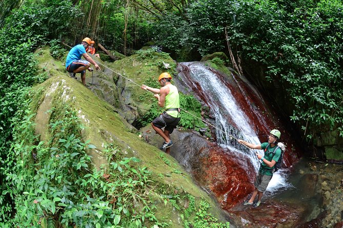 Full-Day Zipline and Waterfall Rappelling Adventure Near San Juan - An In-Depth Look at the Full-Day Zipline and Waterfall Rappelling Tour