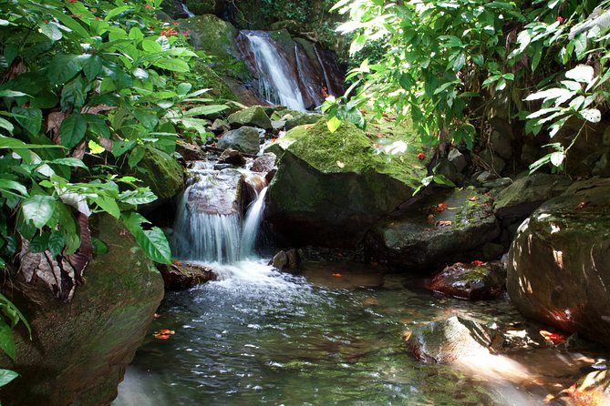 Full-Day Zipline and Waterfall Rappelling Adventure Near San Juan - Practical Tips for a Great Experience