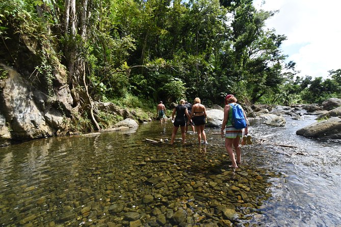 Private Tour of El Yunque Rainforest from San Juan - Transportation and Value