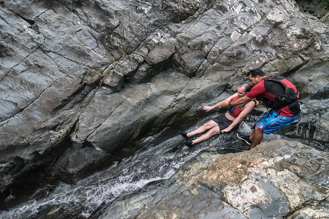 Private Tour of El Yunque Rainforest from San Juan - Who Will Love This Tour?