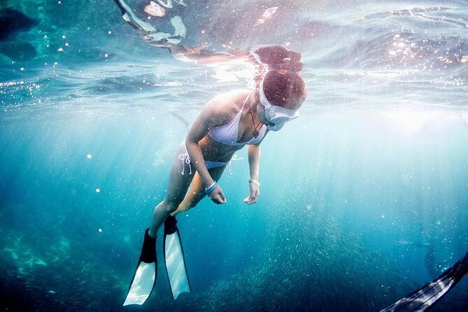 Discover Freediving One Amazing Day - An Authentic Look at the Full-Day Freediving Experience