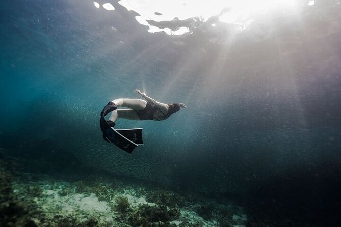 Discover Freediving One Amazing Day - The Experience in Context: Worth the Price?