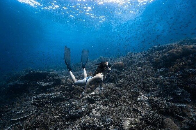Discover Freediving One Amazing Day - FAQ