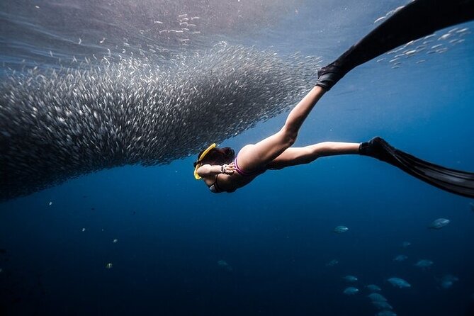 Discover Freediving One Amazing Day - Good To Know