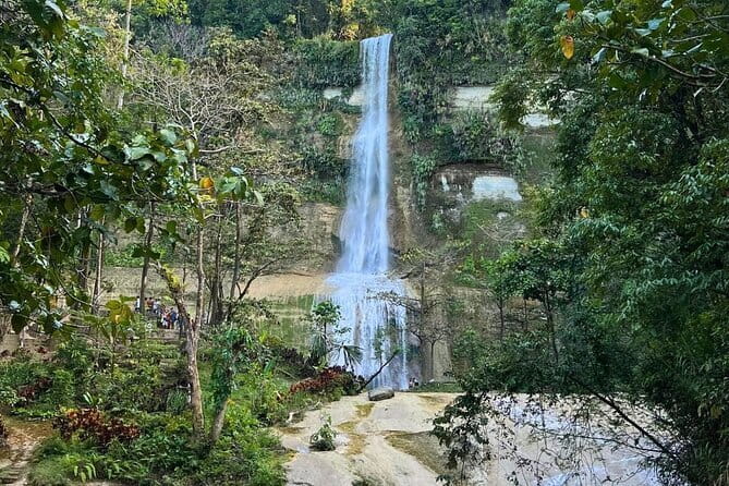 Bohol Chocolate Hills, Tarsiers & Loboc River Private Tour - Loboc River Cruise: Scenic Dining
