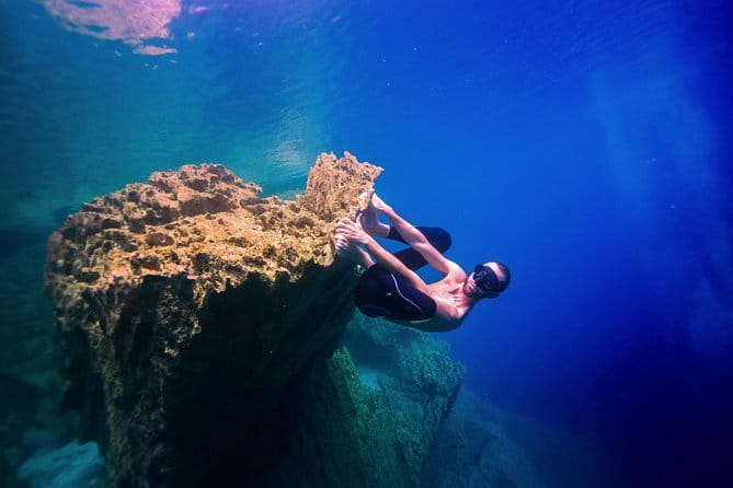 Bohol Chocolate Hills, Tarsiers & Loboc River Private Tour - Philippine Tarsier Sanctuary: Up Close and Personal