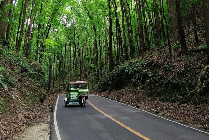 Bohol Choco Tour with Loboc River Lunch Buffet - The Sum Up: Who is This Tour For?