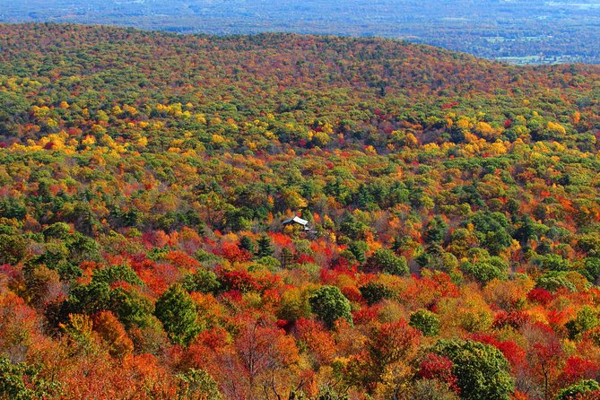 Hudson Valley Fall Foliage Helicopter Tour from Westchester (Shared) - A Closer Look at the Hudson Valley Fall Foliage Helicopter Tour