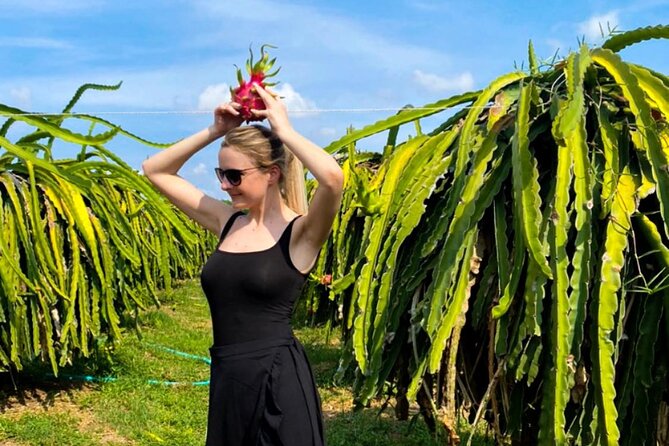 Cable Car Ride in Ta Cu Mountain And Lying Buddha in Mui Ne - The Practical Side: What You Need to Know