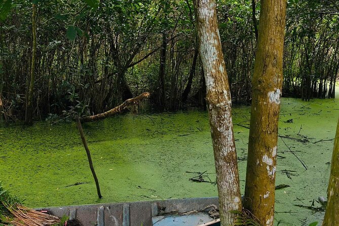 Can Tho: Lung Ngoc Hoang Nature Reserve & Hidden Forests - Frequently Asked Questions