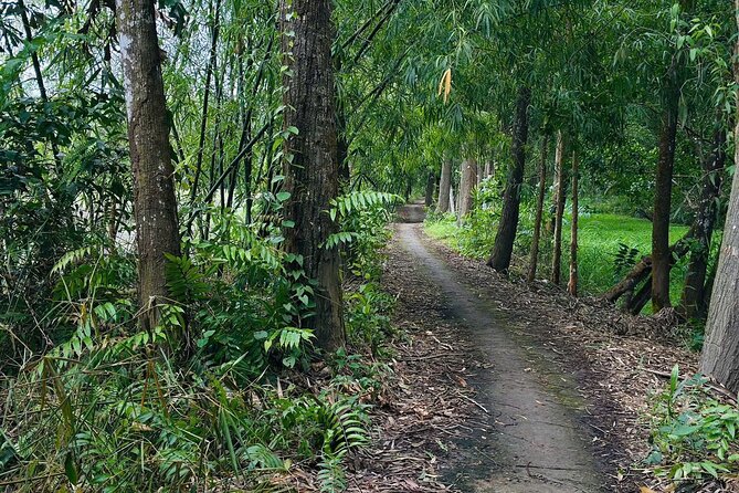 Can Tho: Lung Ngoc Hoang Nature Reserve & Hidden Forests - Summary: Is This Tour Right for You?