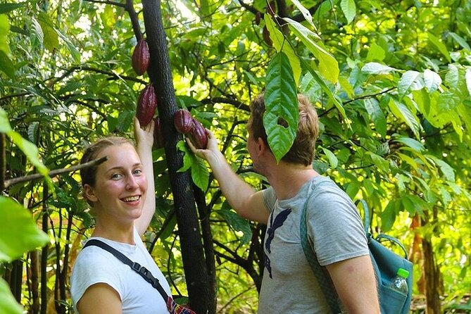 Half day Tour with Cai Rang Floating Market Cacao and Small Canal - Exploring the Cai Rang Floating Market