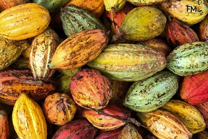 Cai Rang floating market, Cacao & hidden small canal - FAQs