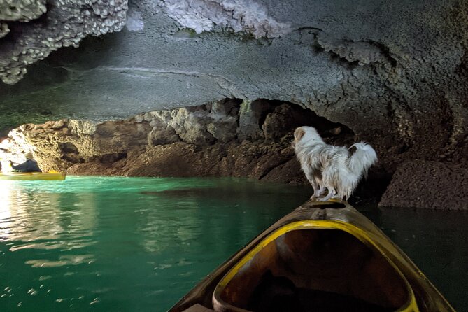 Day Tour: Kayak & Snorkel Boat Tour of Ha Long Bay - FAQ