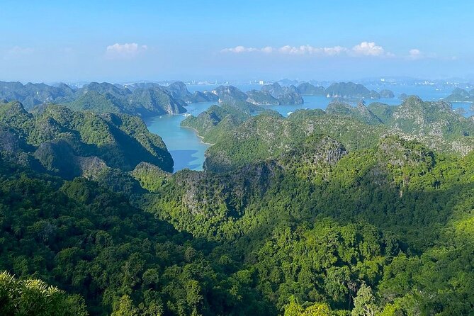 Full-Day Adventure: Trekking and Hiking in Cat Ba National Park - What’s Included and What to Consider