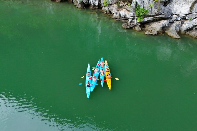Full-Day Adventure: Trekking and Hiking in Cat Ba National Park - An In-Depth Look at the Tour Experience