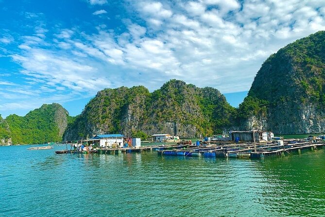 From Cat Ba: Sunset & Bioluminescent Plankton Night Kayak Tour - Who Will Love This Tour?