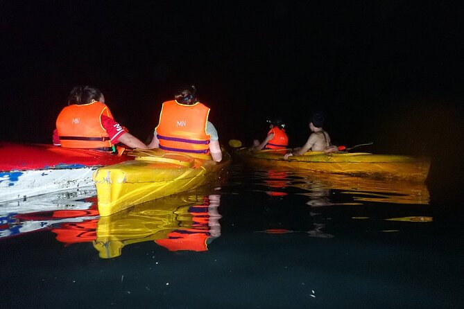 From Cat Ba: Sunset & Bioluminescent Plankton Night Kayak Tour - What Makes This Tour Stand Out?