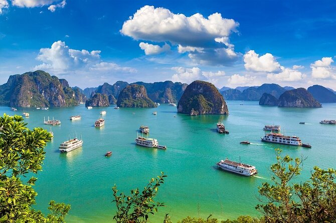 Charming Cruise and Sunrise Magic Full Day Discover Lan Ha Bay - The Sum Up