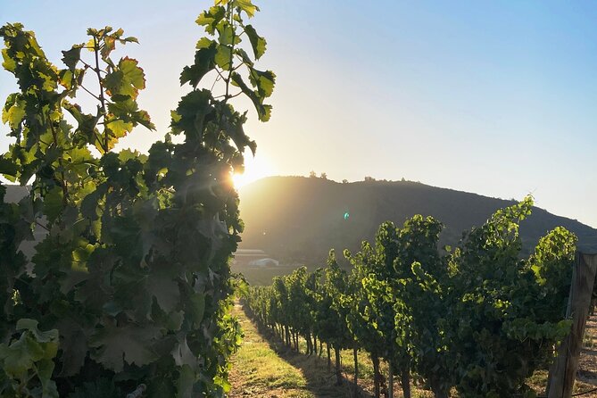 Private San Antonio Port, visit Chocalan Winery & Transfer Hotel - FAQ