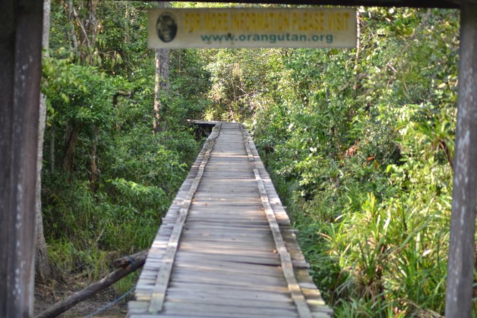 5 Days Truly Orangutan Wildlife Jungle Trail - Price and Value Analysis