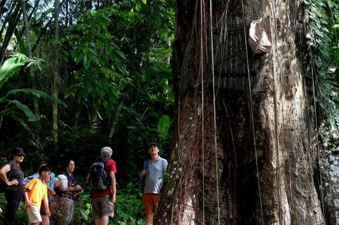 Explore Toraja Culture Heritage in 3 Days from Makassar - Practical Considerations