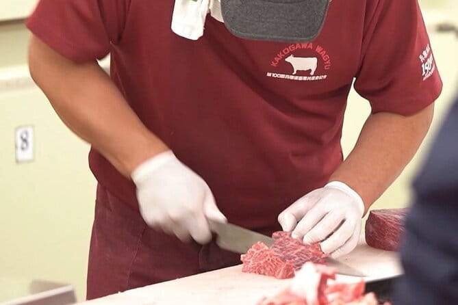 Kakogawa Wagyu Cuture Experience including Kobe Beef Shabu Shabu - Experience a True Japanese Wagyu Journey in Kakogawa