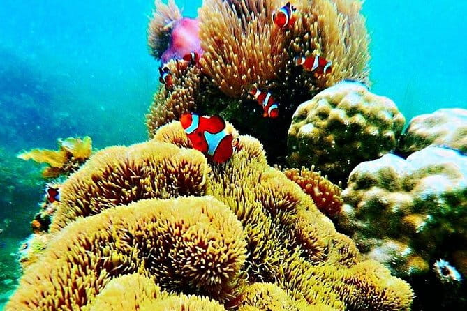 Private One Day Bintan Island Tour - Final Thoughts: Who Should Consider This Tour?