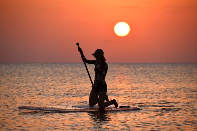 Miyakojima SUP Tour No Additional ChargeFull refund guaranteeRentalUnlimited photosFree 1 year old OK - What’s Included and What to Expect