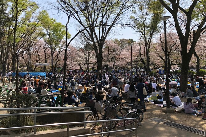Spring in Kichijoji Discover Cherry Blossoms at Inokashira Park - The Real Experience of the Cherry Blossom Tour in Kichijoji